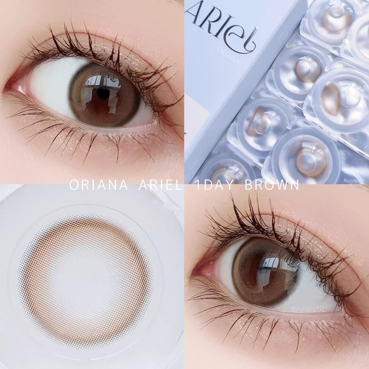 ���٤��ꡦ�٤ʤ��� ORIANA���ꥨ��֥饦���1ǯ��