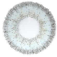 ٤ꡦ٤ʤSmoky졼1ǯ