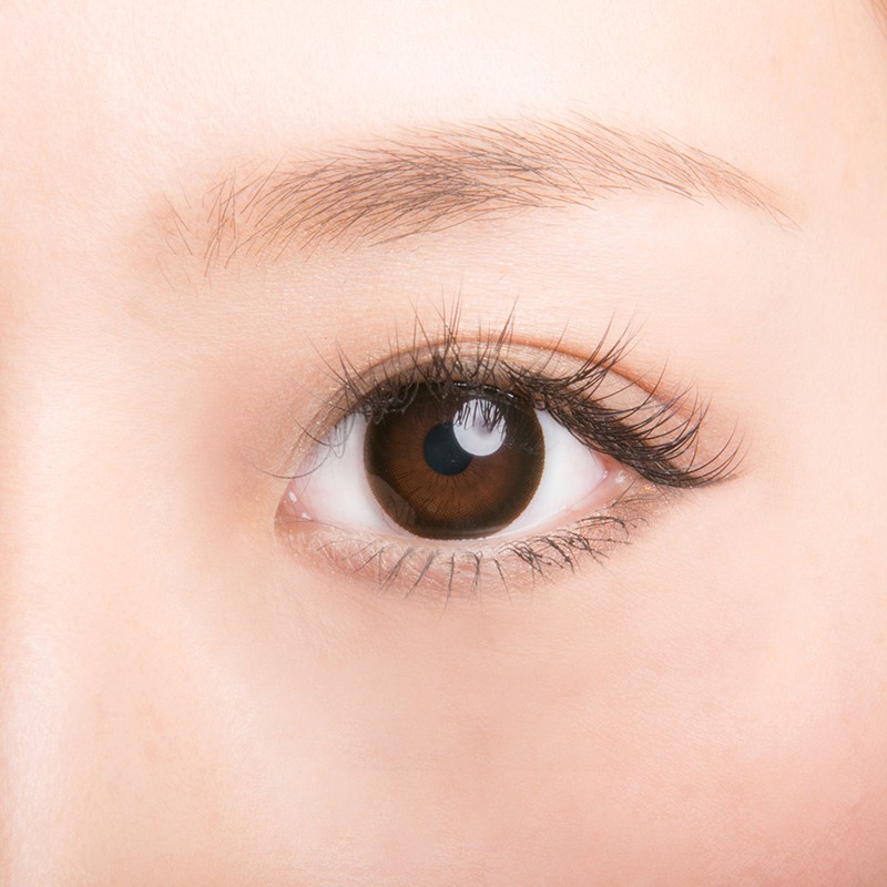 ���٤��ꡦ�٤ʤ���Maple�֥饦���1ǯ��