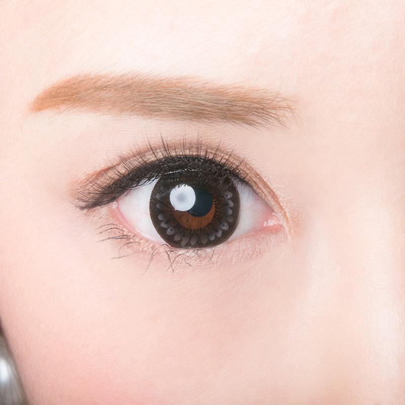 ٤ꡦ٤ʤTeddy֥å1ǯ