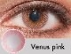 ٤ꡦ٤ʤVenusԥ󥯡1ǯ