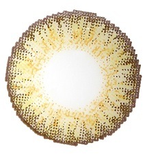 ���٤��ꡦ�٤ʤ���coco�ء������1�����