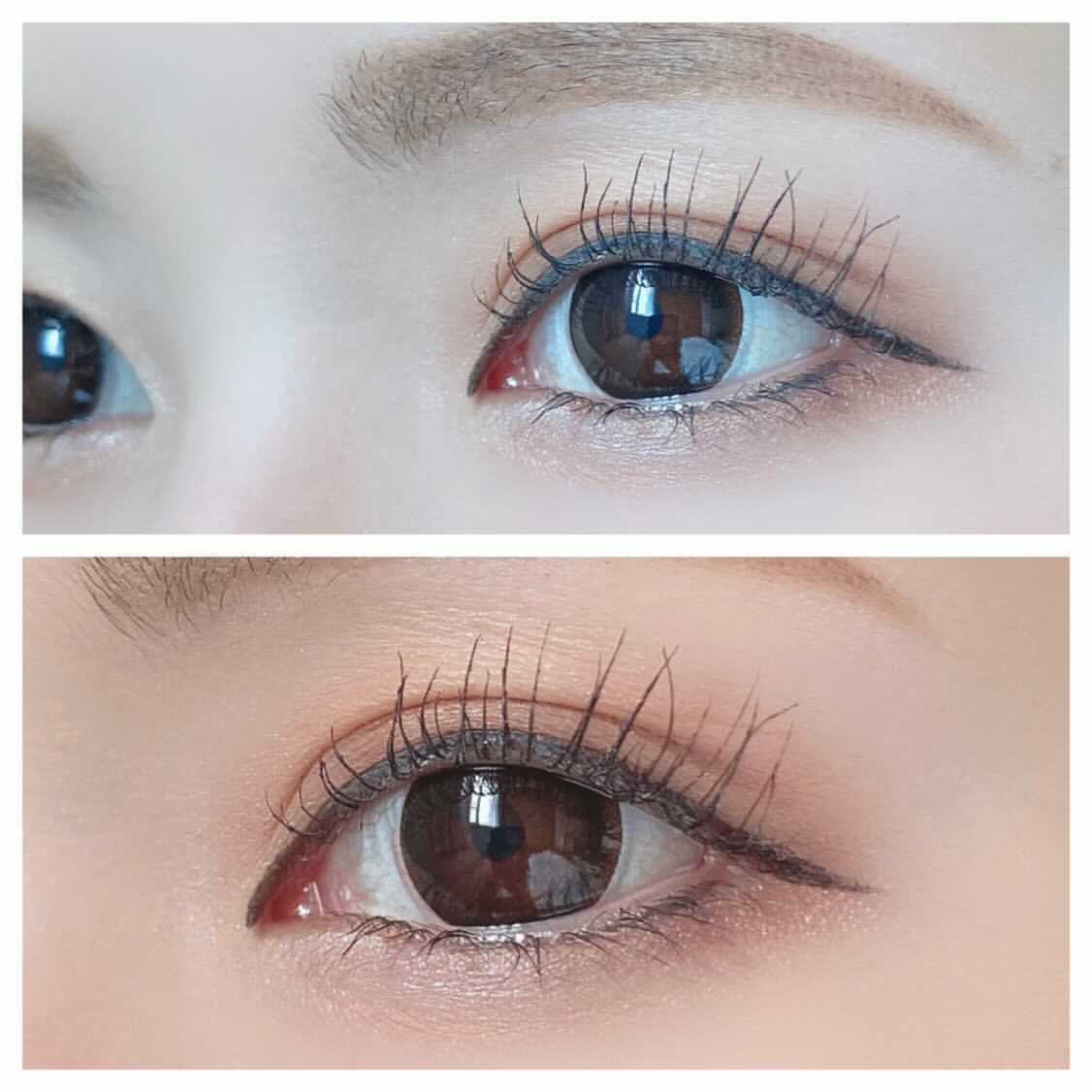 ���٤��ꡦ�٤ʤ���Maple�֥饦���1ǯ��