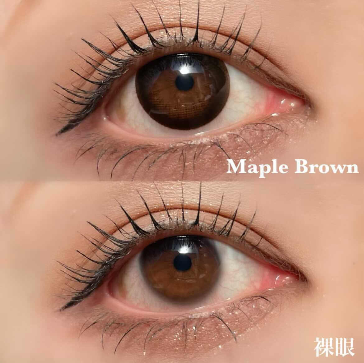 ���٤��ꡦ�٤ʤ���Maple�֥饦���1ǯ��