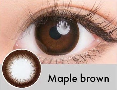 ���٤��ꡦ�٤ʤ���Maple�֥饦���1ǯ��