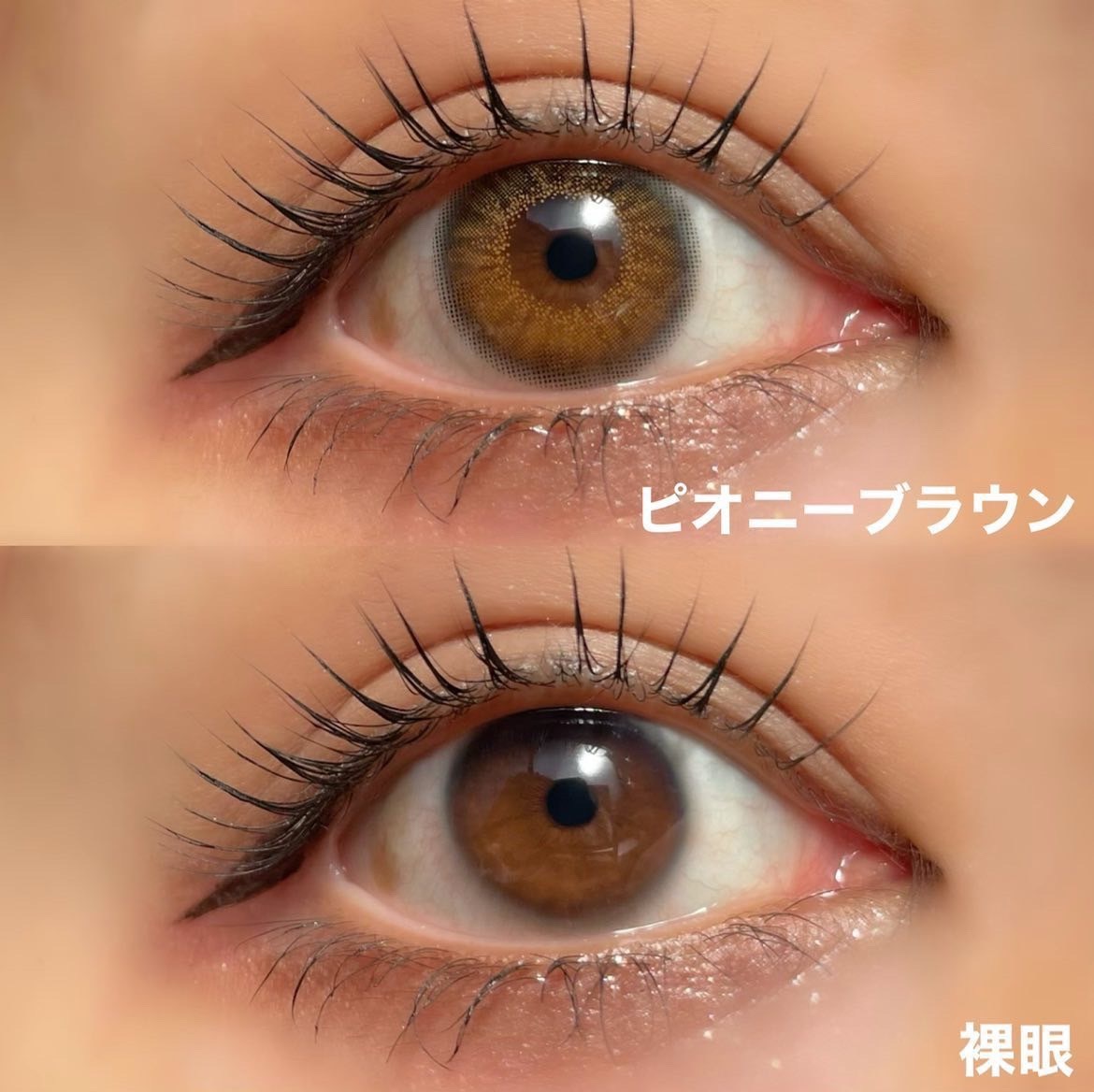 ���٤��ꡦ�٤ʤ���Peony�֥饦���1ǯ��