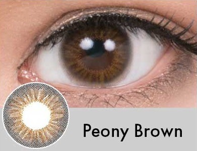 ���٤��ꡦ�٤ʤ���Peony�֥饦���1ǯ��