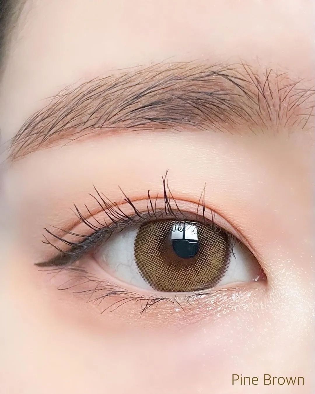 ٤ꡦ٤ʤ MELOARTѥ֥饦1ǯ