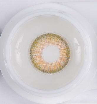 ���٤��ꡦ�٤ʤ���Fancy�֥饦���1ǯ��