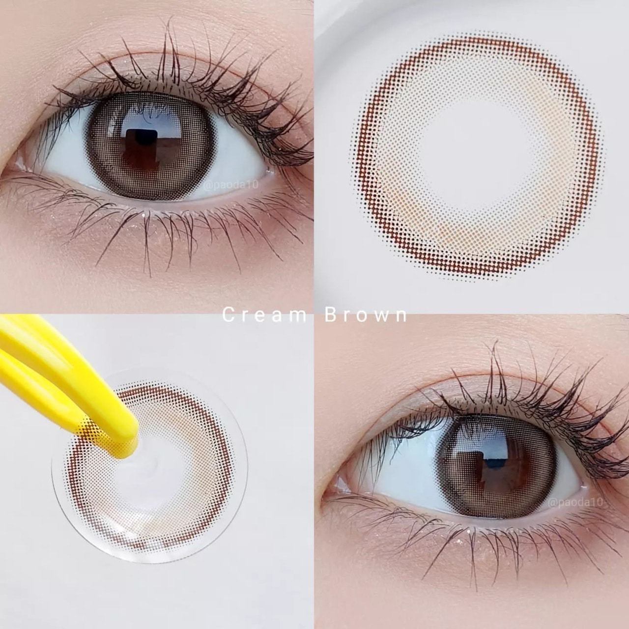 ���٤��ꡦ�٤ʤ��� Milk��Tea���꡼��֥饦��ʥ��ǡ���