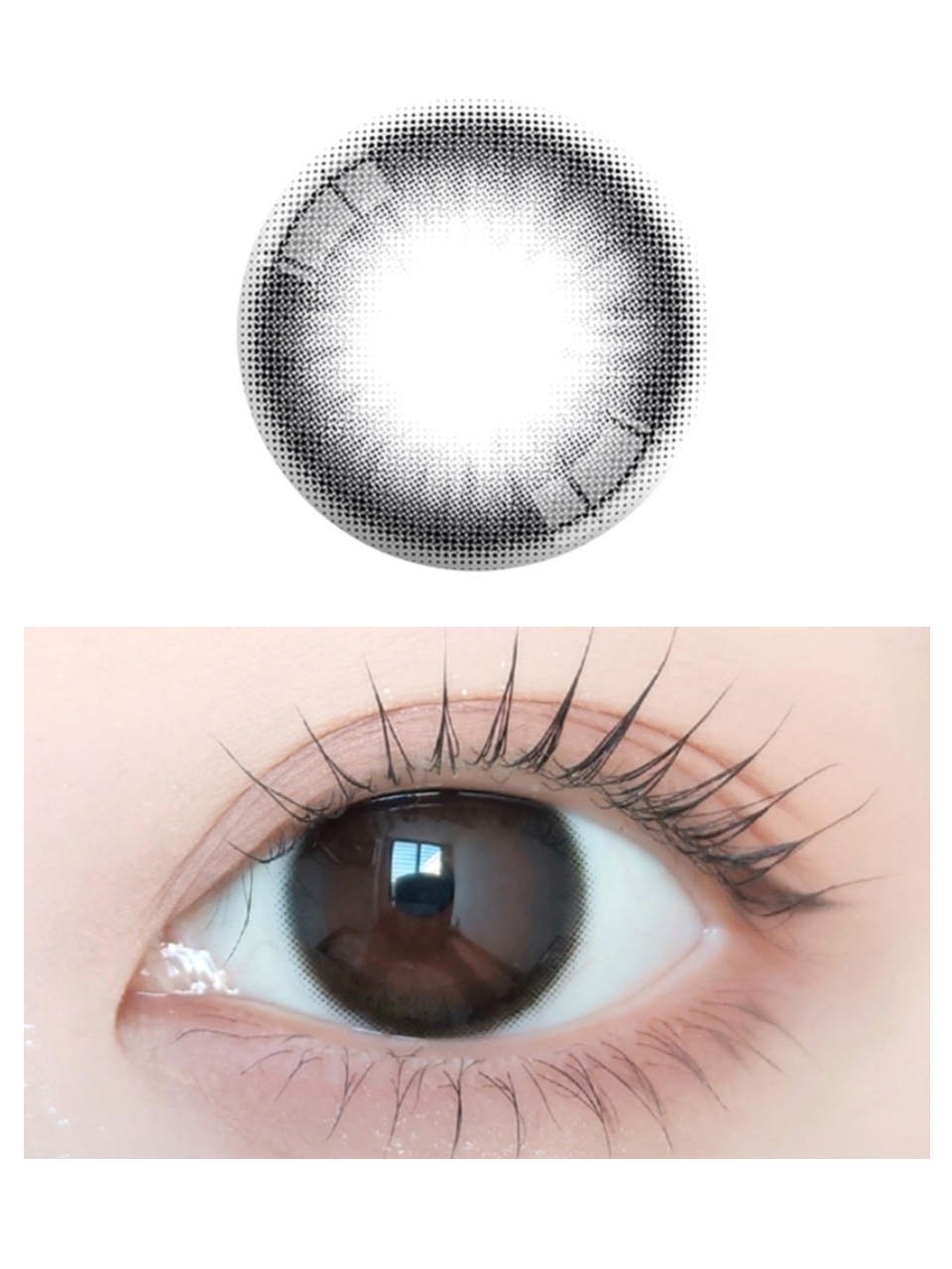 ٤ꡦ٤ʤ JUSTMAX֥å1