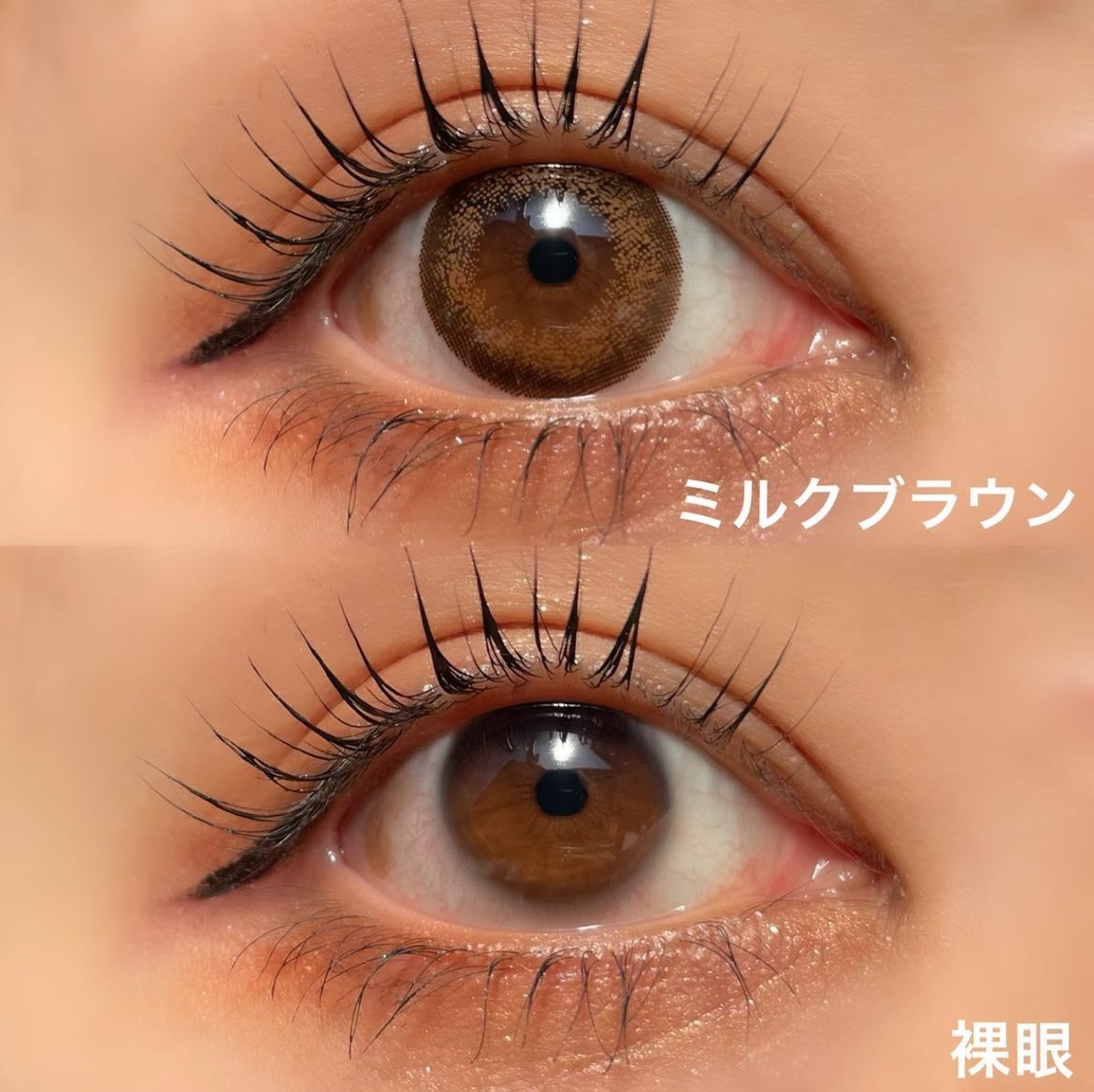 ٤ꡦ٤ʤMilk֥饦1ǯ