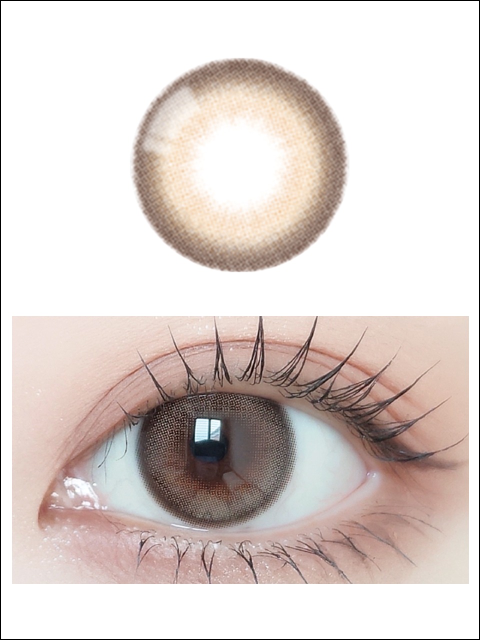 ٤ꡦ٤ʤ Mauveߥ륯֥饦1