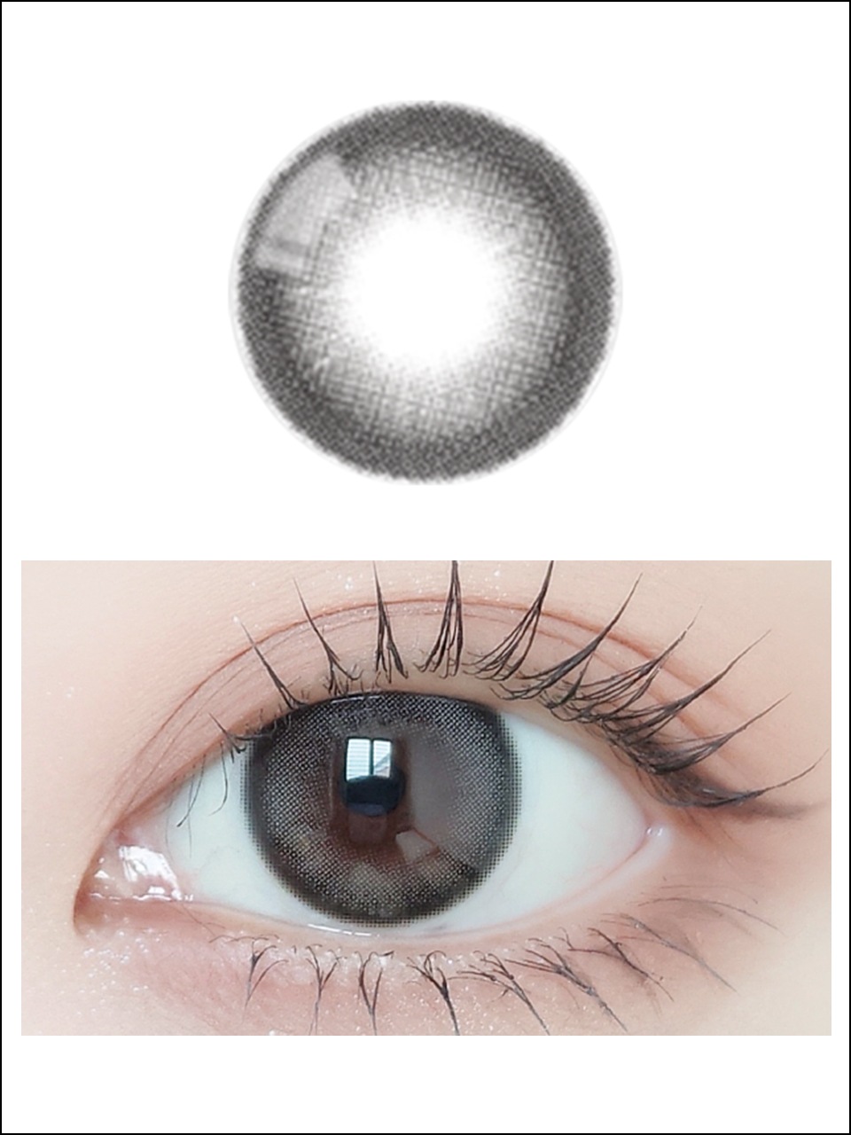 ٤ꡦ٤ʤ Mauveǥץ졼1