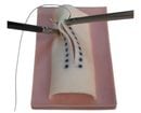 ˥���ǥ� Pocket Model KEYS for suture training