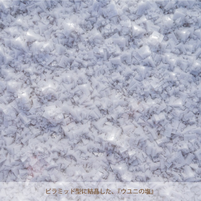 ǲ塢޾徺ˤα ԥߥå 250gޡ б ԥߥå ŷ     ŷα