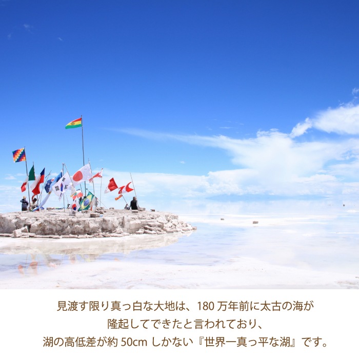 ǲ塢޾徺ȯ䡪̵ۥˤα ԥߥå 800gޡ б   ե롼ɥ