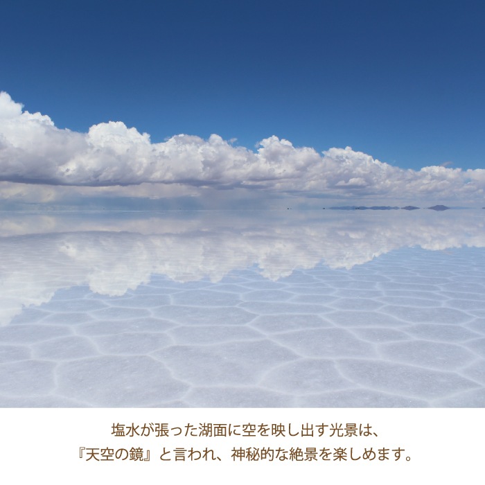 ǲ塢޾徺ȯ䡪̵ۥˤα ԥߥå 800gޡ б   ե롼ɥ