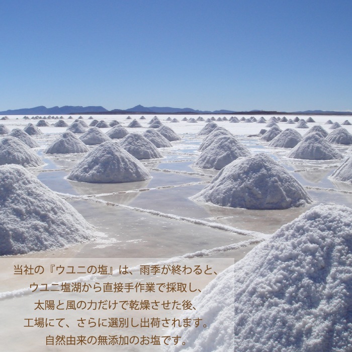 ǲ塢޾徺ȯ䡪̵ۥˤα ԥߥå 800gޡ б   ե롼ɥ