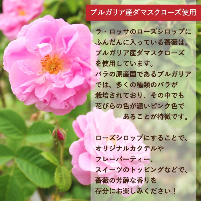 ԥ˥塼ա̵ۥå 150g6  ޥ 񻺤Ƥ󤵤 ƥ å Х