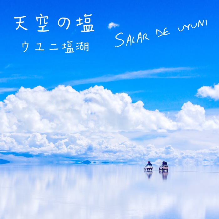 �ǲ�����塢����޾徺��������̵���ۥ���ˤα� �ԥ�ߥå� 100g�ޡ������ �б� ŷ���� ������ ���� ��� ���̥ѥå� �ե롼��ɥ���