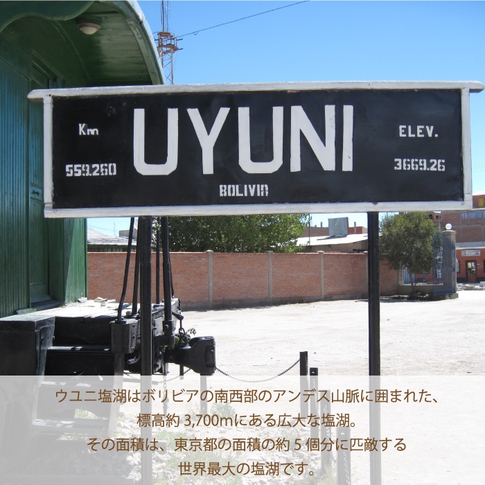 �ǲ�����塢����޾徺��������̵���ۥ���ˤα� �ԥ�ߥå� 100g�ޡ������ �б� ŷ���� ������ ���� ��� ���̥ѥå� �ե롼��ɥ���