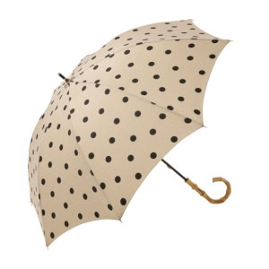 �������� ���� �ɥåȡ�because