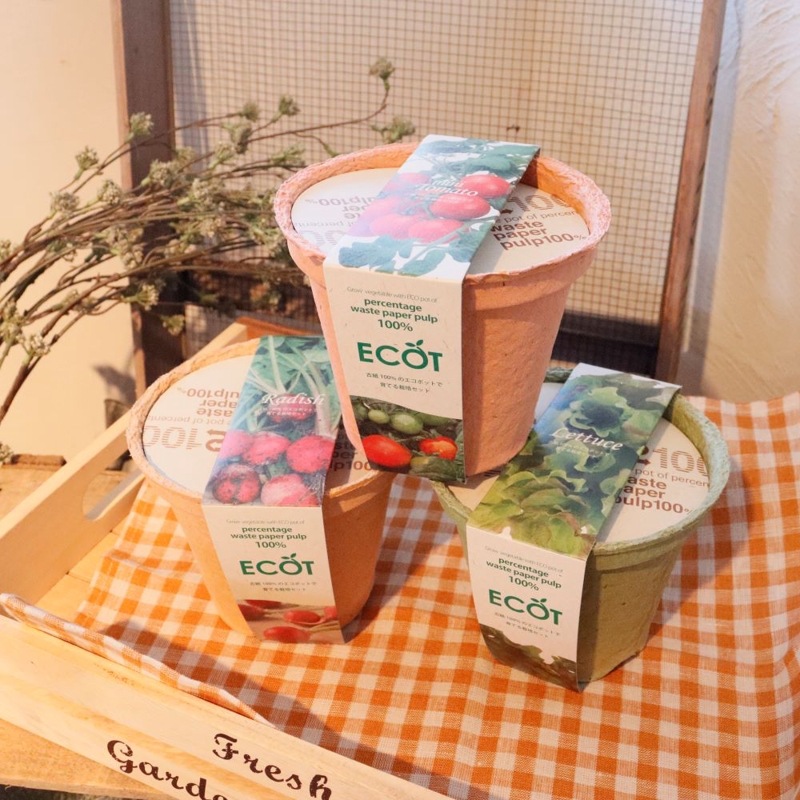 ��30%OFF�ۥ����å�(M)������ƫ��