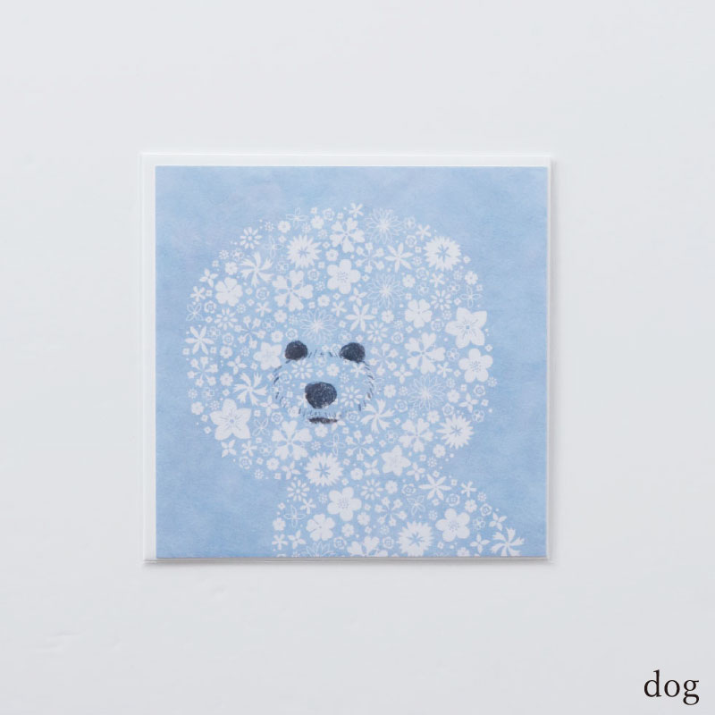 Fluffy ��å����������ɡ�sotlight(���åȥ饤��)