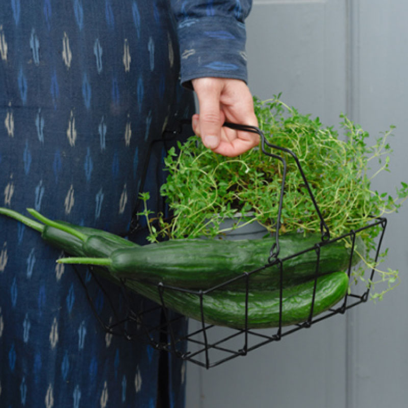 �����å��꡼�Х����å�L��fog linen work