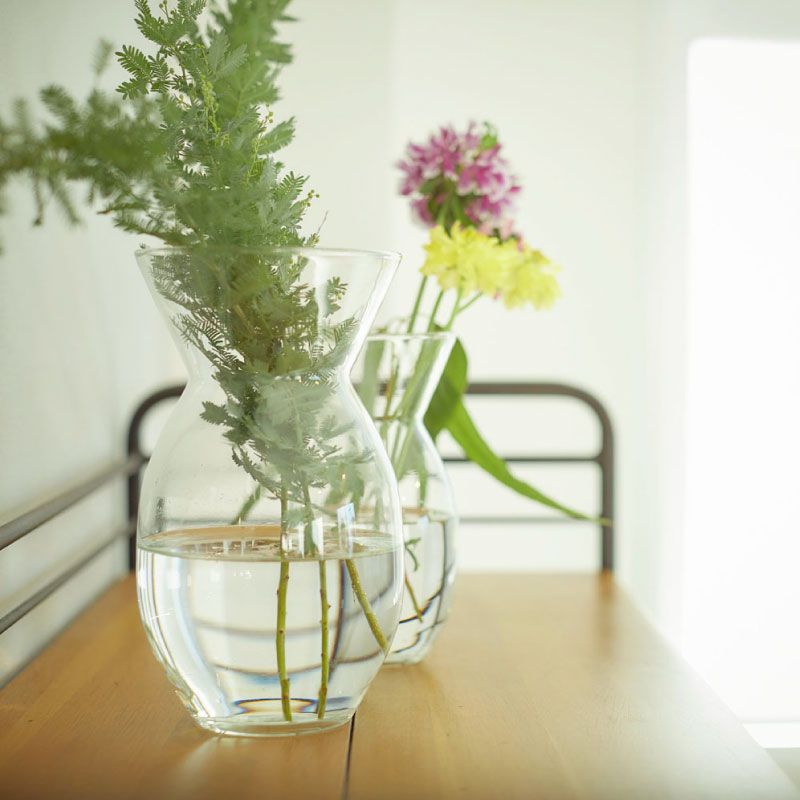 �ִ��塼�����饹 �ե��١��� �ե쥯���֥롿Horn Please MADE