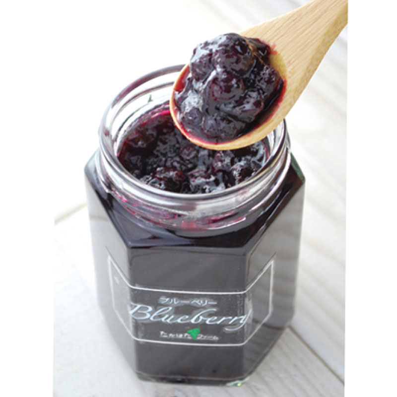 �֥롼�٥꡼����ࡿ�����Ϥ��ե�����