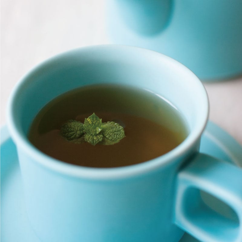 ���ƥ��륯 �ƥ������åס�4th-market(�ե������ޡ����å�)