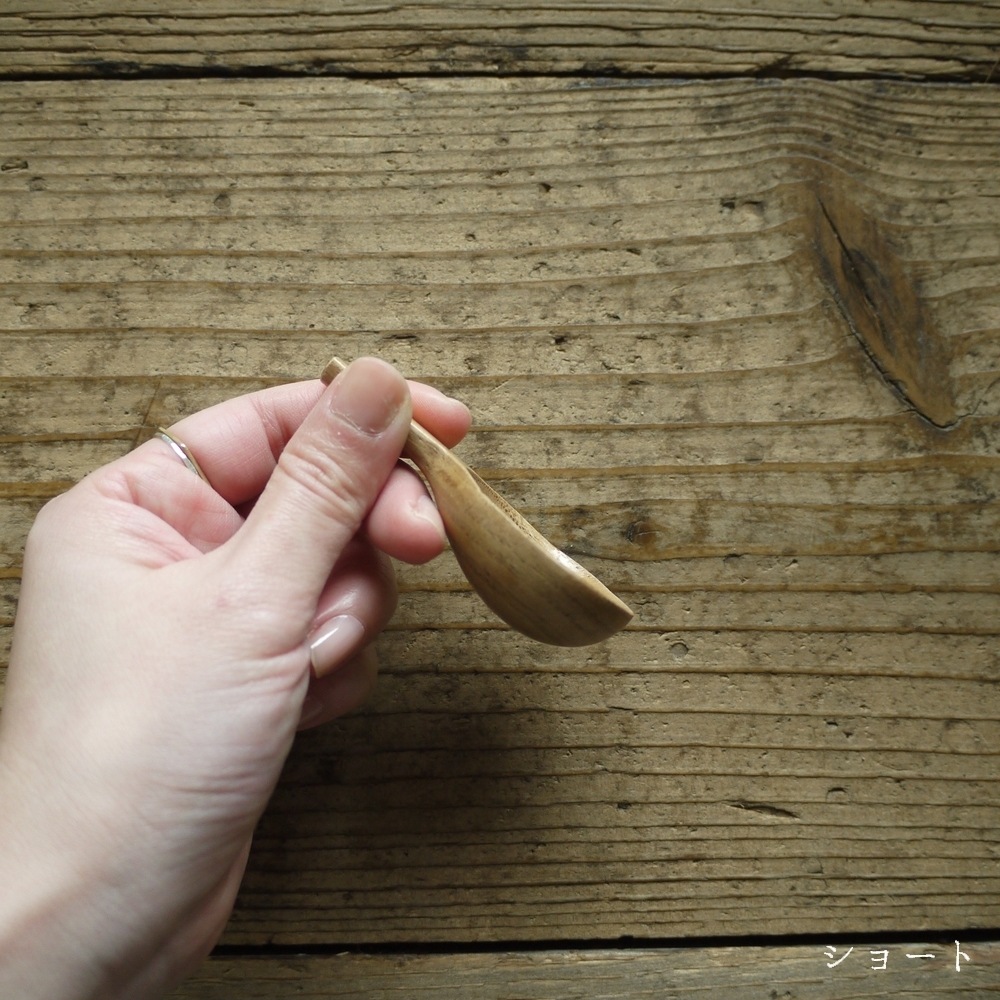 ������ �����ҡ��᥸�㡼��studio m'