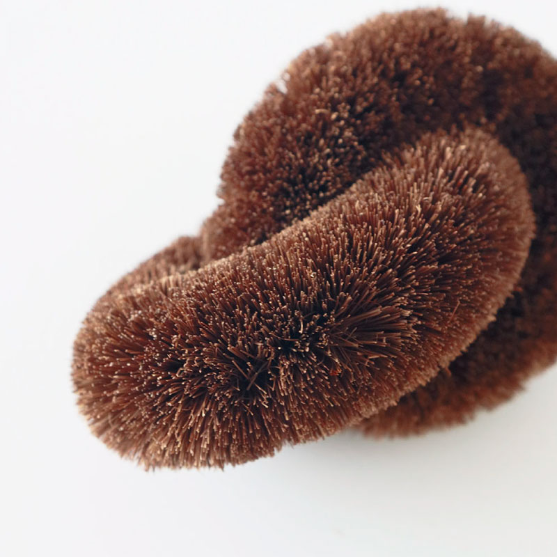 ������Τ䤵�������路 �ह��/���Ĺ�¤��Ź