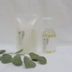 ϥɥե 졼ץե롼ġLEAF&BOTANICS(꡼&ܥ˥)