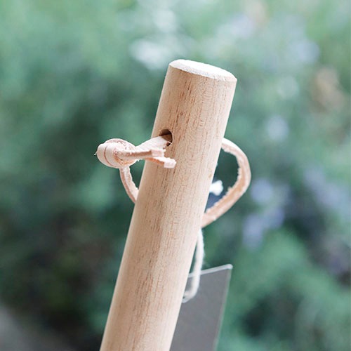 ���륬�� �ۥ��� ���顼����ࡿHorn Please