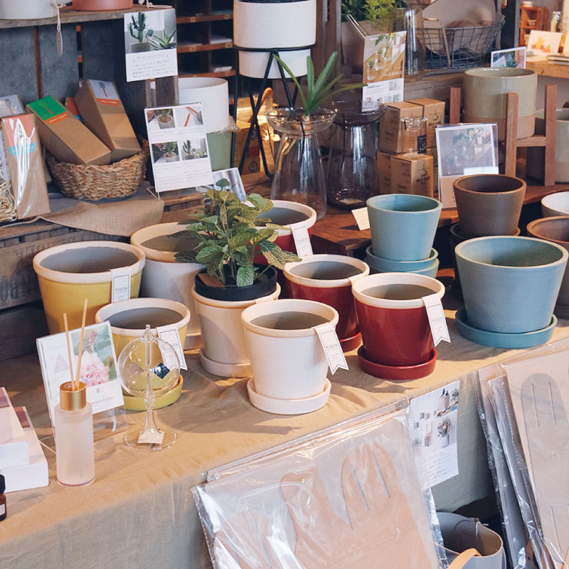 2608認定グロッシー チェリーピンクゴールドぼかしグラデーションsd太