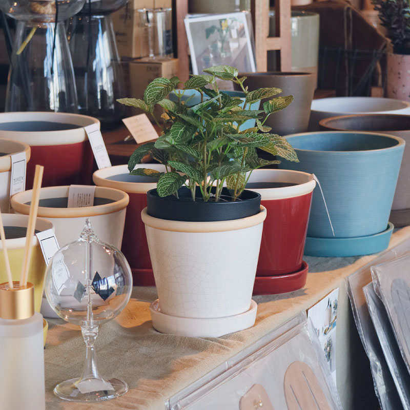 �����å����ݥå� 4��ȭ��POSH LIVING(�ݥå����ӥ�)