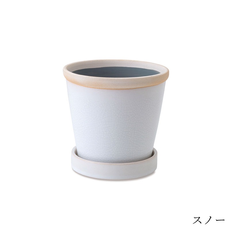 �����å����ݥå� 4��ȭ��POSH LIVING(�ݥå����ӥ�)