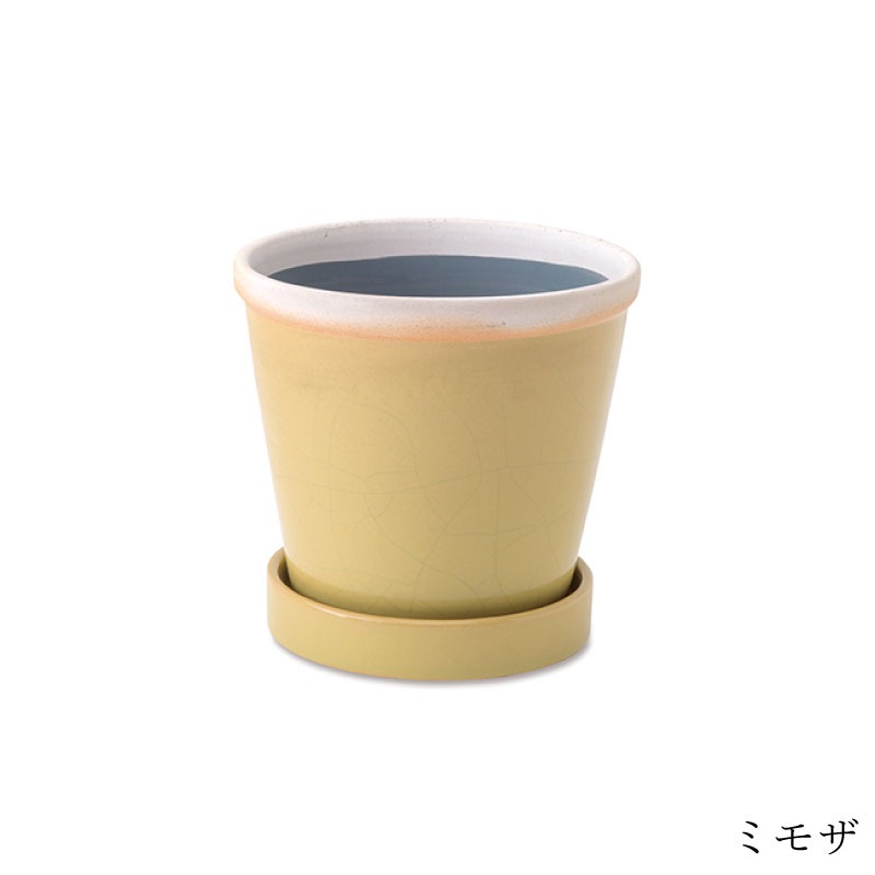 �����å����ݥå� 4��ȭ��POSH LIVING(�ݥå����ӥ�)