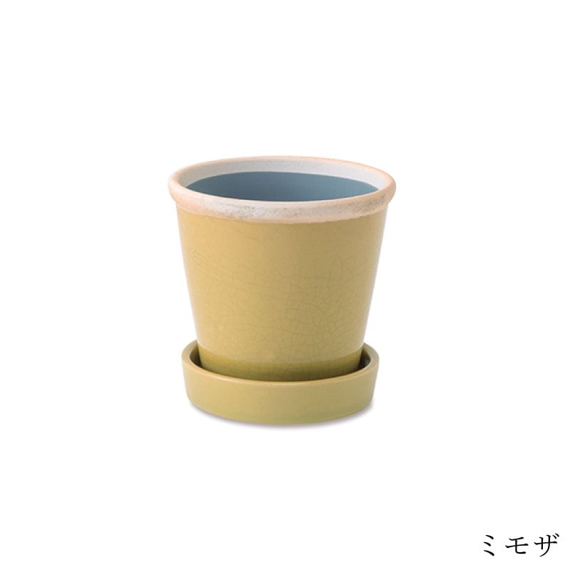 �����å����ݥå� 3��ȭ��POSH LIVING(�ݥå����ӥ�)