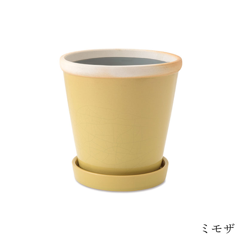 �����å����ݥå� 5��ȭ��POSH LIVING(�ݥå����ӥ�)