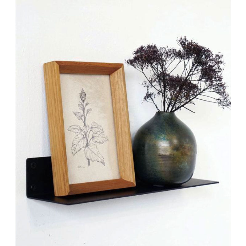 �������ե졼�� �ե���L��Homestead