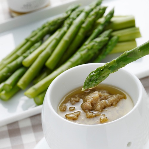 ̳ƻС˥㥫NORTH FARM STOCKʥΡեॹȥå