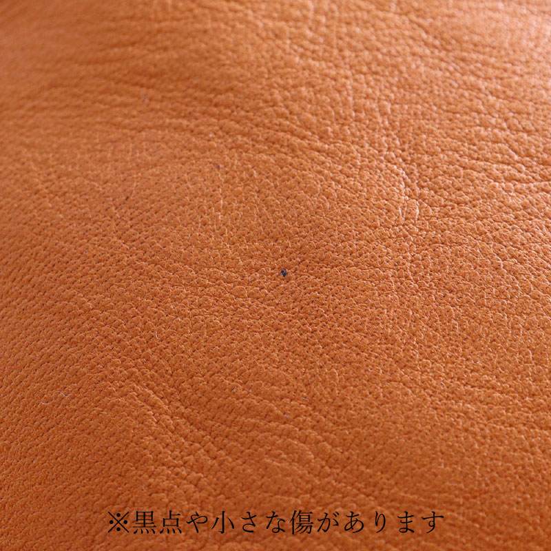 �Хå� CRUMPLE HALF��M�˥����ץ�ϡ��ա�TIDEWAY