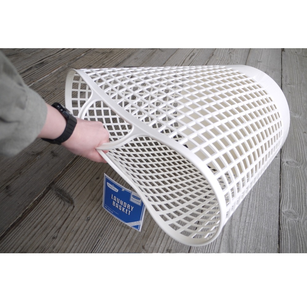 ���ɥ꡼�Х����å� ��Freddy Leck�ʥե�ǥ���å���