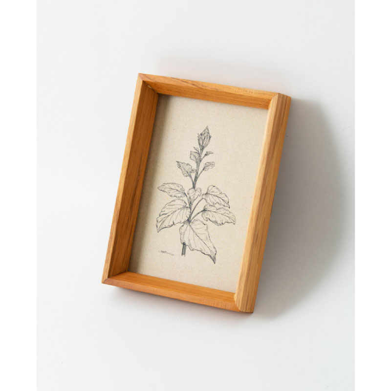 �������ե졼�� �ݥ��ȥ����ɡ�Homestead