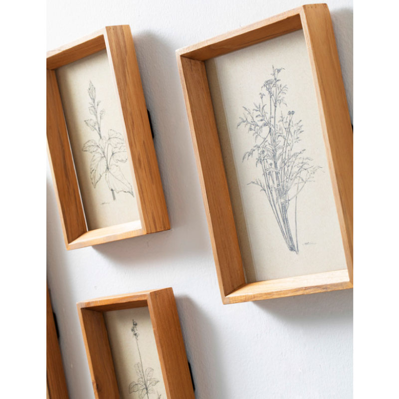 �������ե졼�� �ݥ��ȥ����ɡ�Homestead