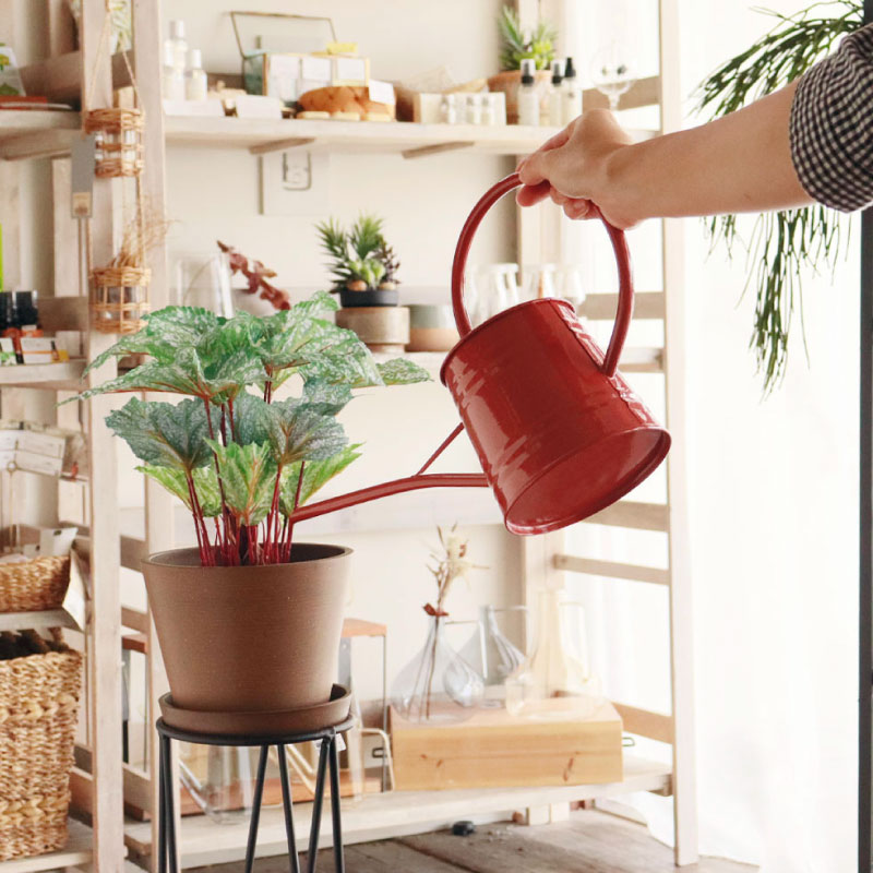 ����ץ� ���硼�� 1L��FARM